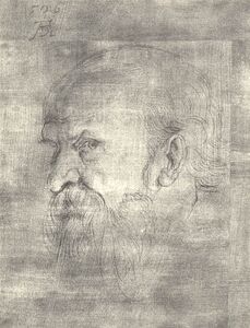 Der Apostel Paulus. Kopfstudie Dürers von 1526. (Winkler, Zeichnungen 4, Nr. 872)