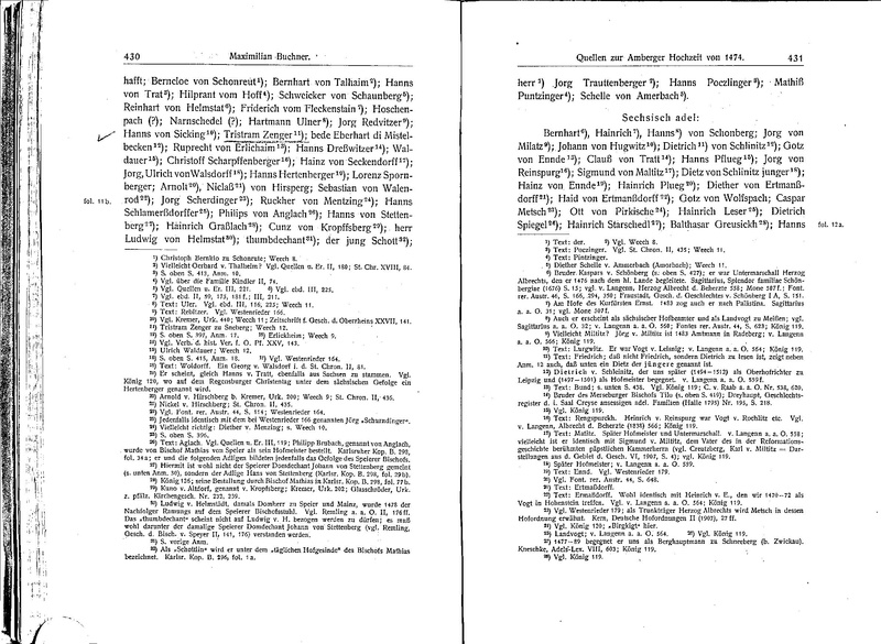 Datei:Bucher Quellen zur Amberger Hochzeit.pdf