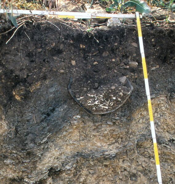 Datei:Urnenbestattung Schwebheim.jpg