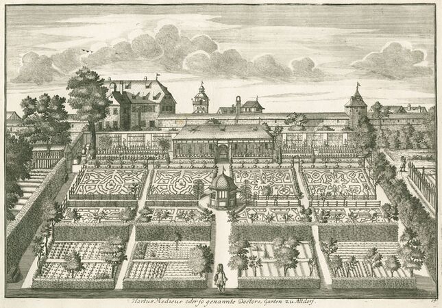Hortus medicus, Kupferstich um 1720. (Bayerische Staatsbibliothek, Bildarchiv port-036619)