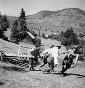 Männer bei der Heuernte auf einer Wiese in Oberammergau, Lkr. Garmisch-Partenkirchen. Sie ziehen einen leeren Wrassmannkarren nach oben. Die Momentaufnahme, die 1940 entstand, dokumentiert das alltägliche Leben auf dem Land. Die vermeintlich arglose Kameradschaft der Männer vermittelt die ideologische Prägung des Nationalsozialismus. Foto von Erika Groth-Schmachtenberger. (Haus der Bayerischen Geschichte)