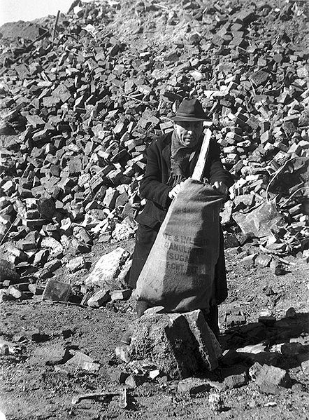 Datei:Holzsammler 1946.jpg