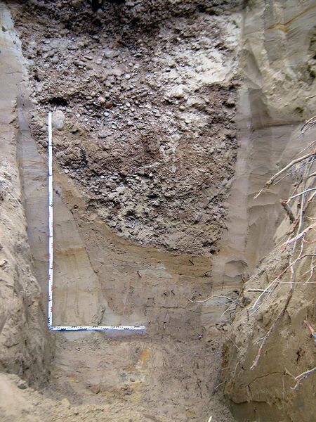 Datei:Abb 4 Schachtprofil.jpg