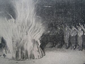 Bücherverbrennung auf dem Münchner Königsplatz am 10. Mai 1933. (Abb. aus: Völkischer Beobachter, Süddeutsche Ausgabe. München 12.5.1933, Beiblatt)