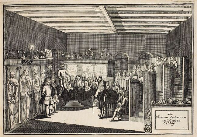 Theatrum anatomicum. Kupferstich von Johann Georg Puschner (1680-1749). (Stadtbibliothek im Bildungscampus Nürnberg, Stoer. 1208, lizenziert durch Public Domain Mark 1.0) (bavarikon)