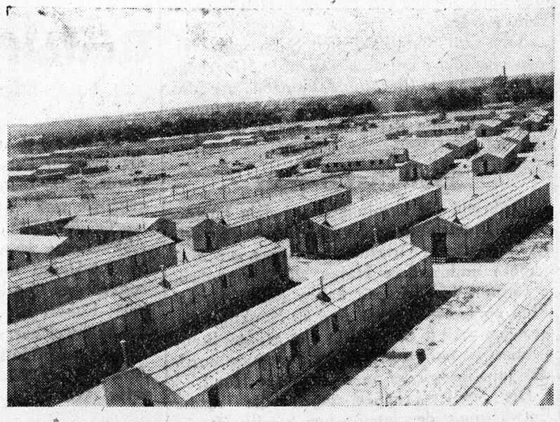 Datei:Baracken Internierungslager Regensburg 6539-73.jpg