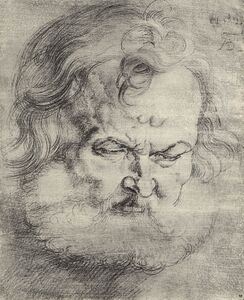 Der Apostel Petrus. Kopfstudie Dürers von 1526. (Winkler, Zeichnungen 4, Nr. 871)